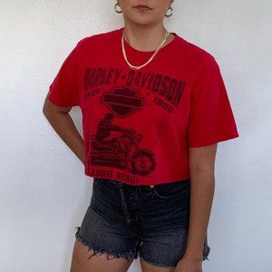 Vintage Harley Davidson T-Shirt